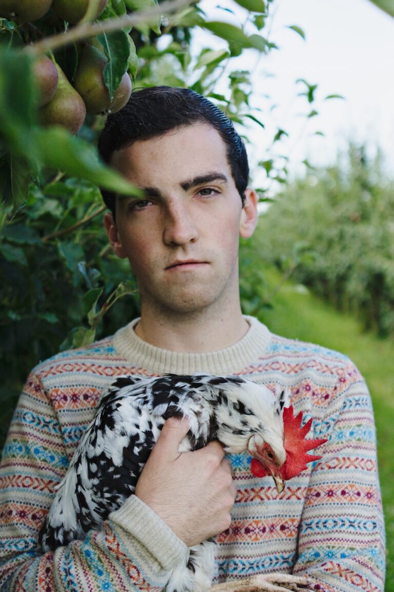 Van prentenboek tot microscoop: zeven illustratoren die dieren tekenen